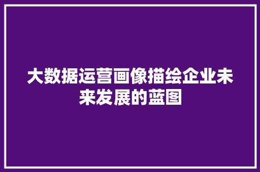 大数据运营画像描绘企业未来发展的蓝图