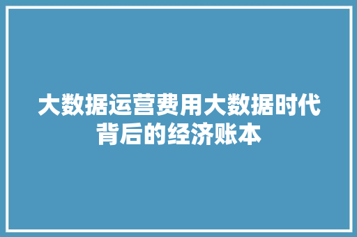 大数据运营费用大数据时代背后的经济账本
