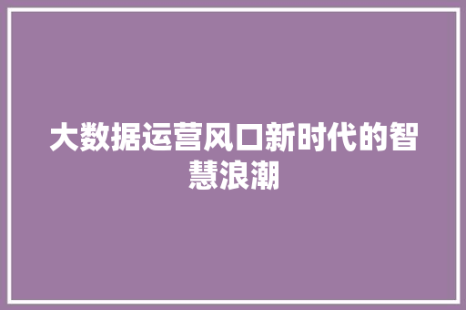 大数据运营风口新时代的智慧浪潮  第1张