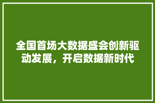 全国首场大数据盛会创新驱动发展，开启数据新时代  第1张