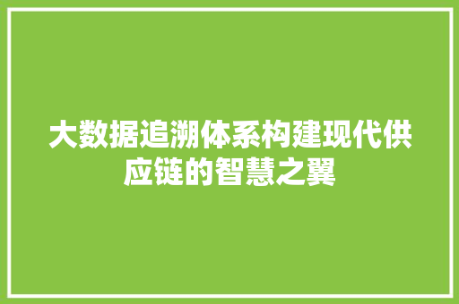 大数据追溯体系构建现代供应链的智慧之翼