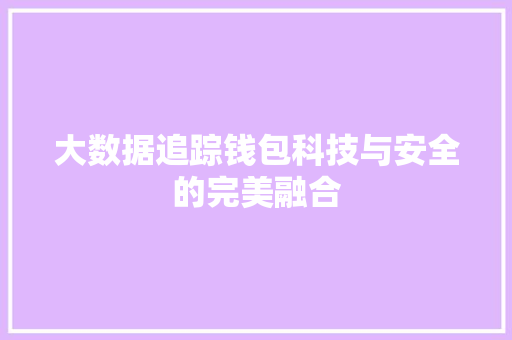 大数据追踪钱包科技与安全的完美融合  第1张