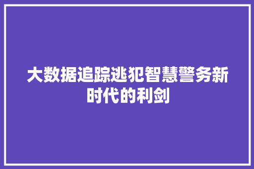大数据追踪逃犯智慧警务新时代的利剑