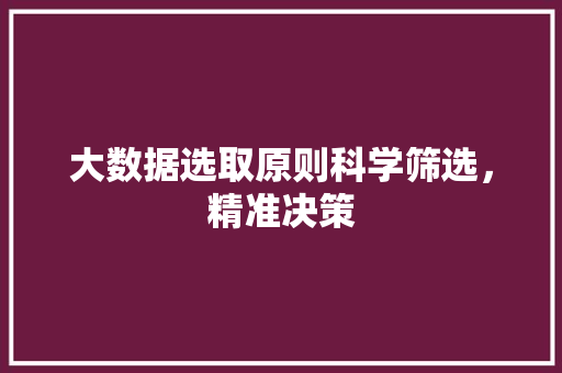 大数据选取原则科学筛选，精准决策  第1张