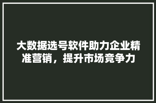 大数据选号软件助力企业精准营销，提升市场竞争力