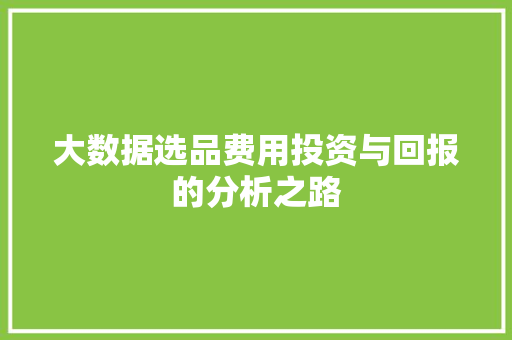 大数据选品费用投资与回报的分析之路
