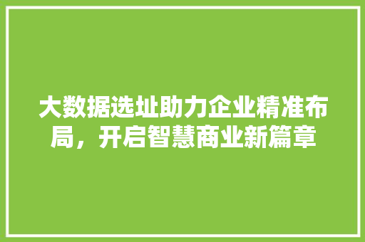 大数据选址助力企业精准布局，开启智慧商业新篇章  第1张