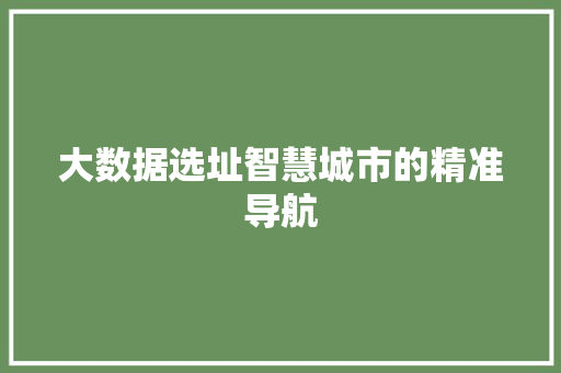 大数据选址智慧城市的精准导航  第1张