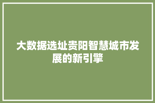 大数据选址贵阳智慧城市发展的新引擎  第1张