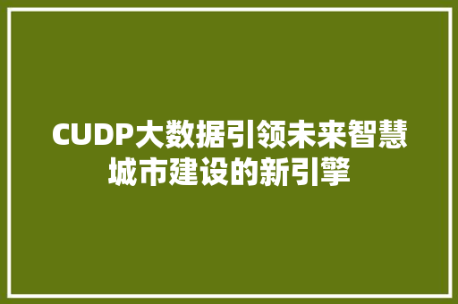 CUDP大数据引领未来智慧城市建设的新引擎