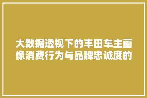 大数据透视下的丰田车主画像消费行为与品牌忠诚度的奥秘