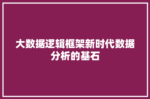 大数据逻辑框架新时代数据分析的基石