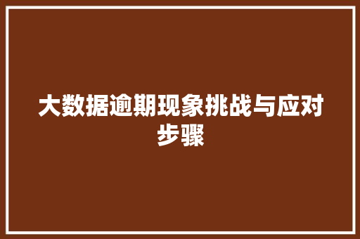 大数据逾期现象挑战与应对步骤