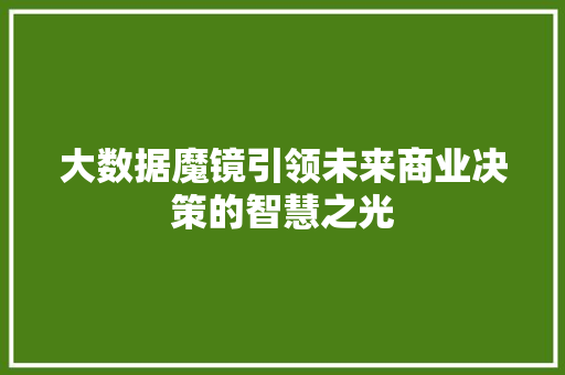 大数据魔镜引领未来商业决策的智慧之光  第1张