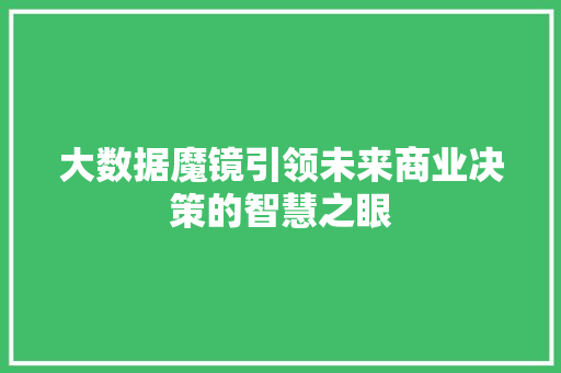 大数据魔镜引领未来商业决策的智慧之眼  第1张