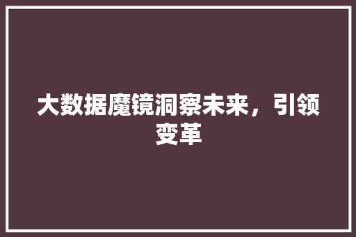 大数据魔镜洞察未来，引领变革  第1张