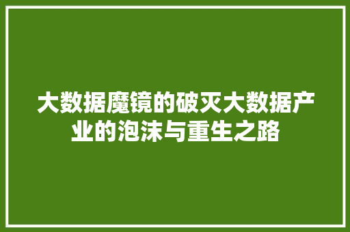 大数据魔镜的破灭大数据产业的泡沫与重生之路  第1张
