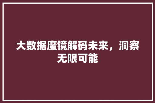 大数据魔镜解码未来，洞察无限可能  第1张