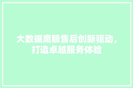 大数据鹰眼售后创新驱动，打造卓越服务体验  第1张