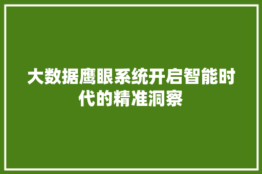 大数据鹰眼系统开启智能时代的精准洞察  第1张