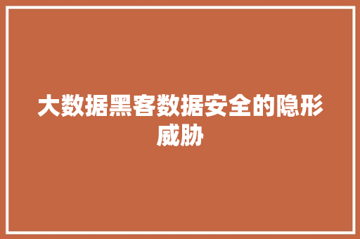 大数据黑客数据安全的隐形威胁