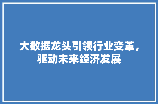 大数据龙头引领行业变革，驱动未来经济发展  第1张