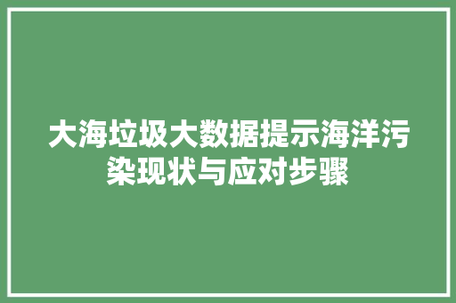 大海垃圾大数据提示海洋污染现状与应对步骤