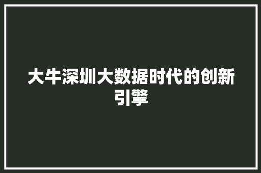 大牛深圳大数据时代的创新引擎  第1张