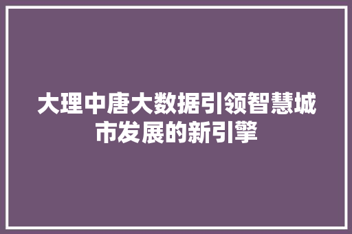 大理中唐大数据引领智慧城市发展的新引擎