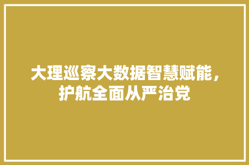 大理巡察大数据智慧赋能，护航全面从严治党