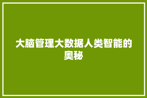 大脑管理大数据人类智能的奥秘
