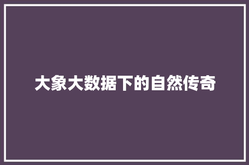 大象大数据下的自然传奇  第1张