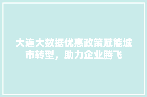 大连大数据优惠政策赋能城市转型，助力企业腾飞
