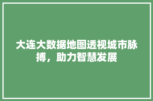 大连大数据地图透视城市脉搏，助力智慧发展
