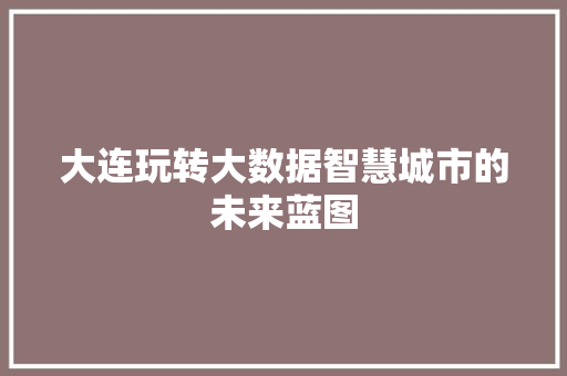 大连玩转大数据智慧城市的未来蓝图