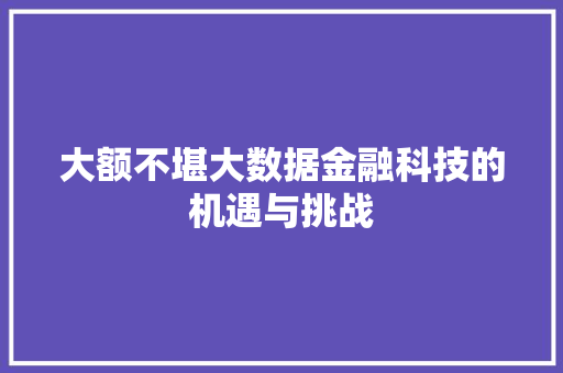 大额不堪大数据金融科技的机遇与挑战