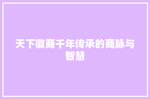天下徽商千年传承的商脉与智慧  第1张