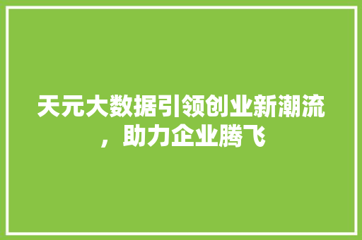 天元大数据引领创业新潮流，助力企业腾飞