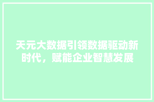 天元大数据引领数据驱动新时代，赋能企业智慧发展
