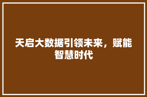 天启大数据引领未来，赋能智慧时代