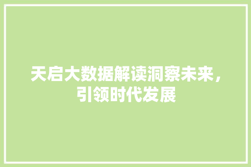 天启大数据解读洞察未来，引领时代发展  第1张