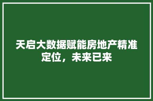 天启大数据赋能房地产精准定位，未来已来