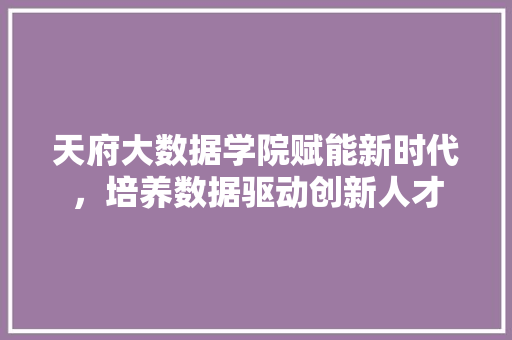 天府大数据学院赋能新时代，培养数据驱动创新人才