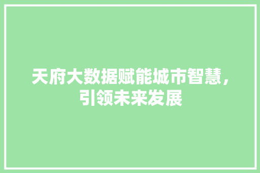 天府大数据赋能城市智慧，引领未来发展