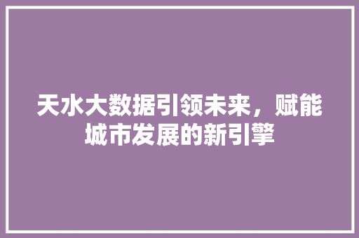 天水大数据引领未来，赋能城市发展的新引擎