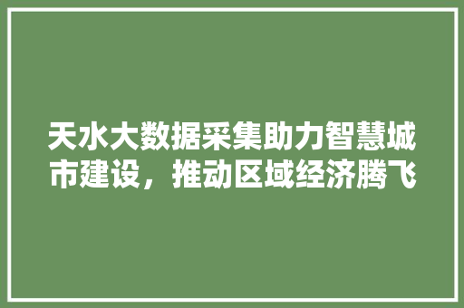 天水大数据采集助力智慧城市建设，推动区域经济腾飞