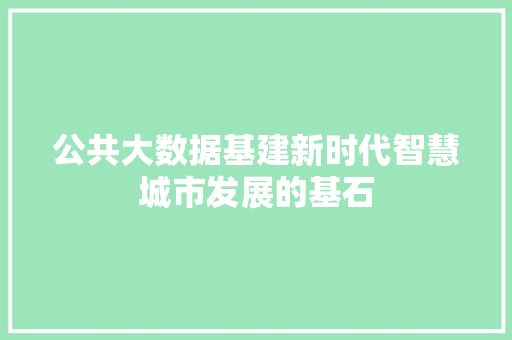 公共大数据基建新时代智慧城市发展的基石  第1张