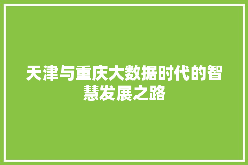 天津与重庆大数据时代的智慧发展之路  第1张