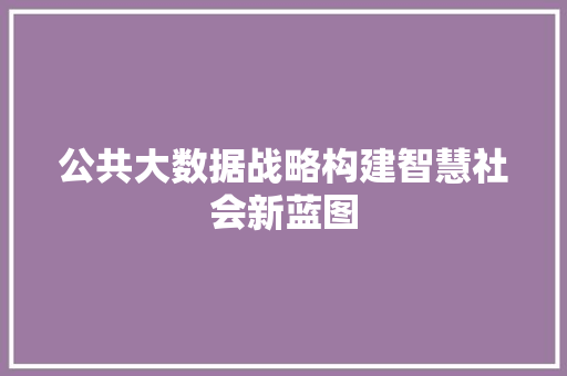 公共大数据战略构建智慧社会新蓝图