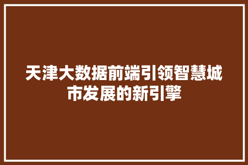 天津大数据前端引领智慧城市发展的新引擎